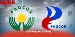 Giấy Phép Hoạt Động: Hướng Dẫn Chi Tiết, Thủ Tục Nhanh Chóng Tại UU88